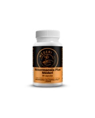 AKKERMANSIA PLUS  30 Caps