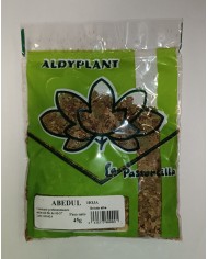 ABEDUL HOJA 45