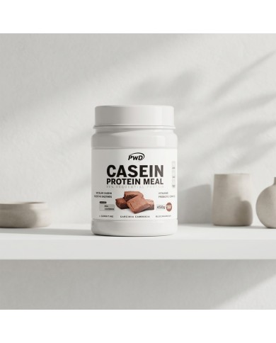 CASEIN PROTEIN 450 gr Choco Brownie