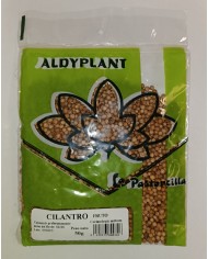 CILANTRO 50