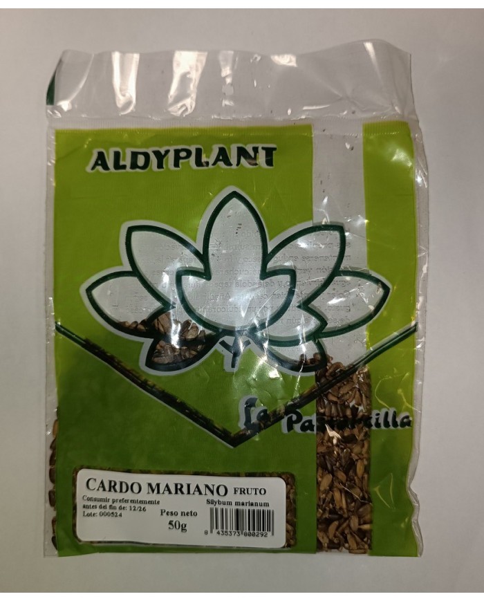 CARDO MARIANO FRUTO 50