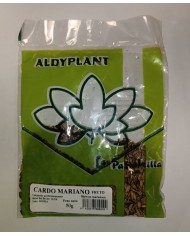 CARDO MARIANO FRUTO 50