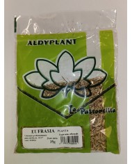 EUFRASIA 35