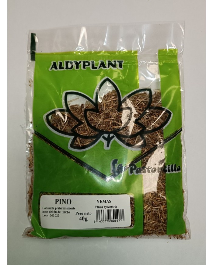 PINO ABETO YEMAS 40