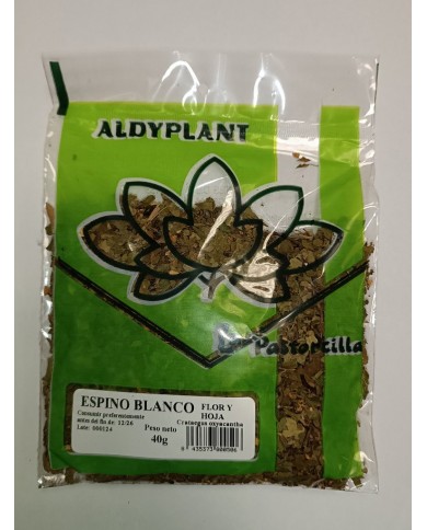 ESPINO BLANCO 40