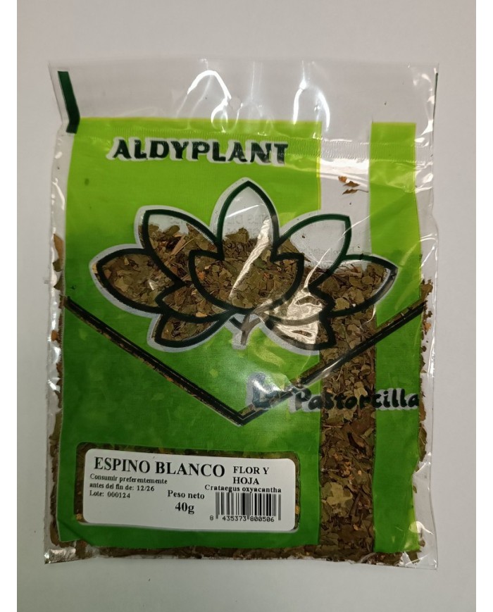 ESPINO BLANCO 40