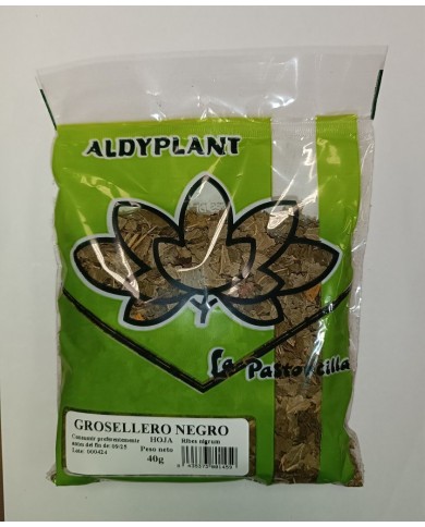 GROSELLERO NEGRO 40 GR.