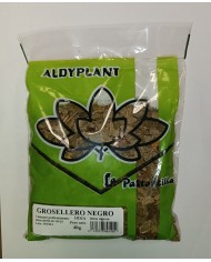 GROSELLERO NEGRO 40 GR.