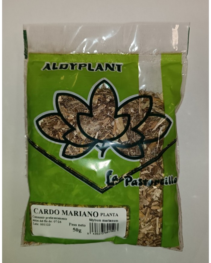 CARDO MARIANO PLANTA 50